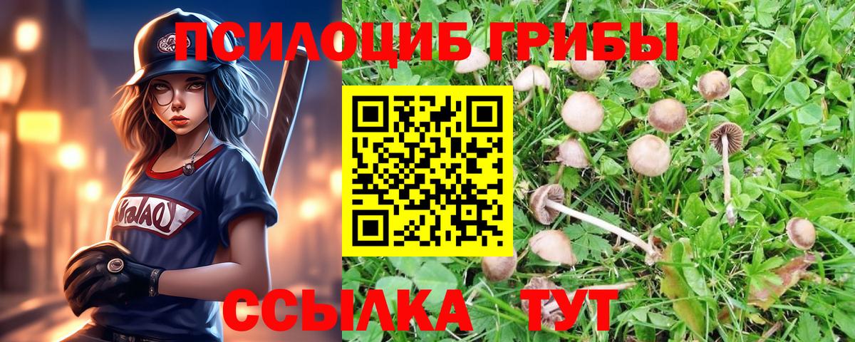 Острогожск  Галлюциногенные грибы Cubensis  купить наркоту  Вход с VPN 
