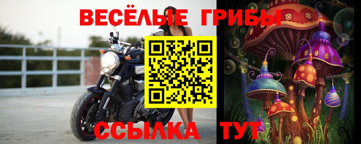 Галлюциногенные грибы мицелий Острогожск